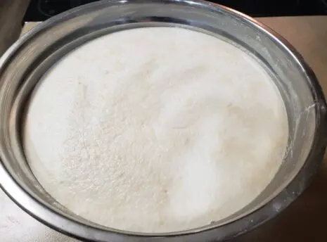 Idli_Batter 4