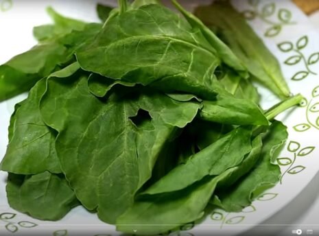Palak Paneer Paratha Palak Paneer Paratha