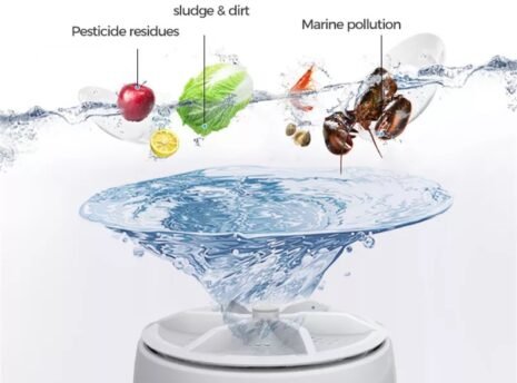 Dish-Fruit Washing Machine 1 Dish-Fruit Washing Machine 1