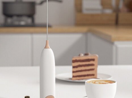 milk frother (1)