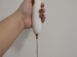 milk frother (2)